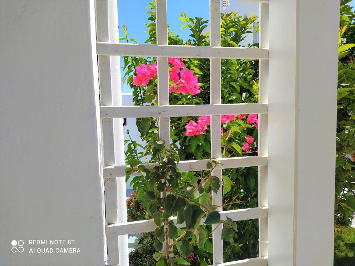 Geoni'S Villa & Garden Spa أبولونيا المظهر الخارجي الصورة
